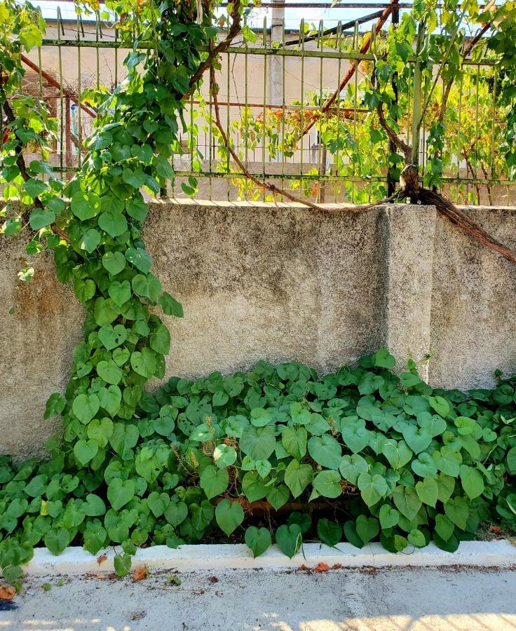 Unique Traditional House, Hosted By J&G Tirana Bagian luar foto