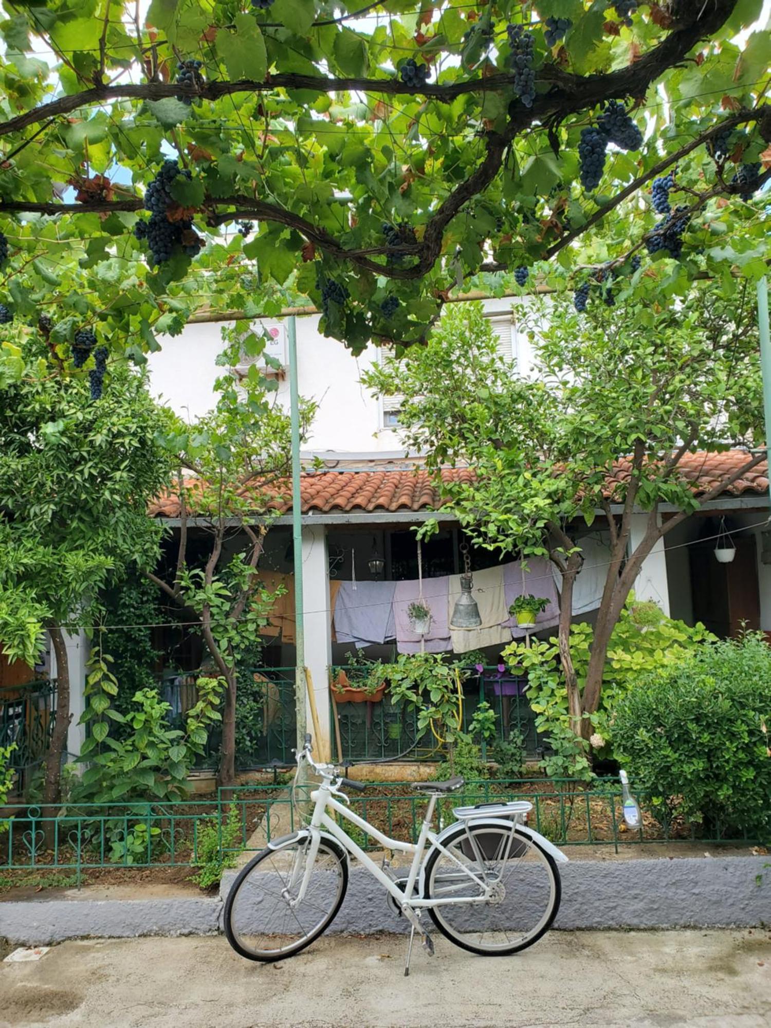 Unique Traditional House, Hosted By J&G Tirana Bagian luar foto